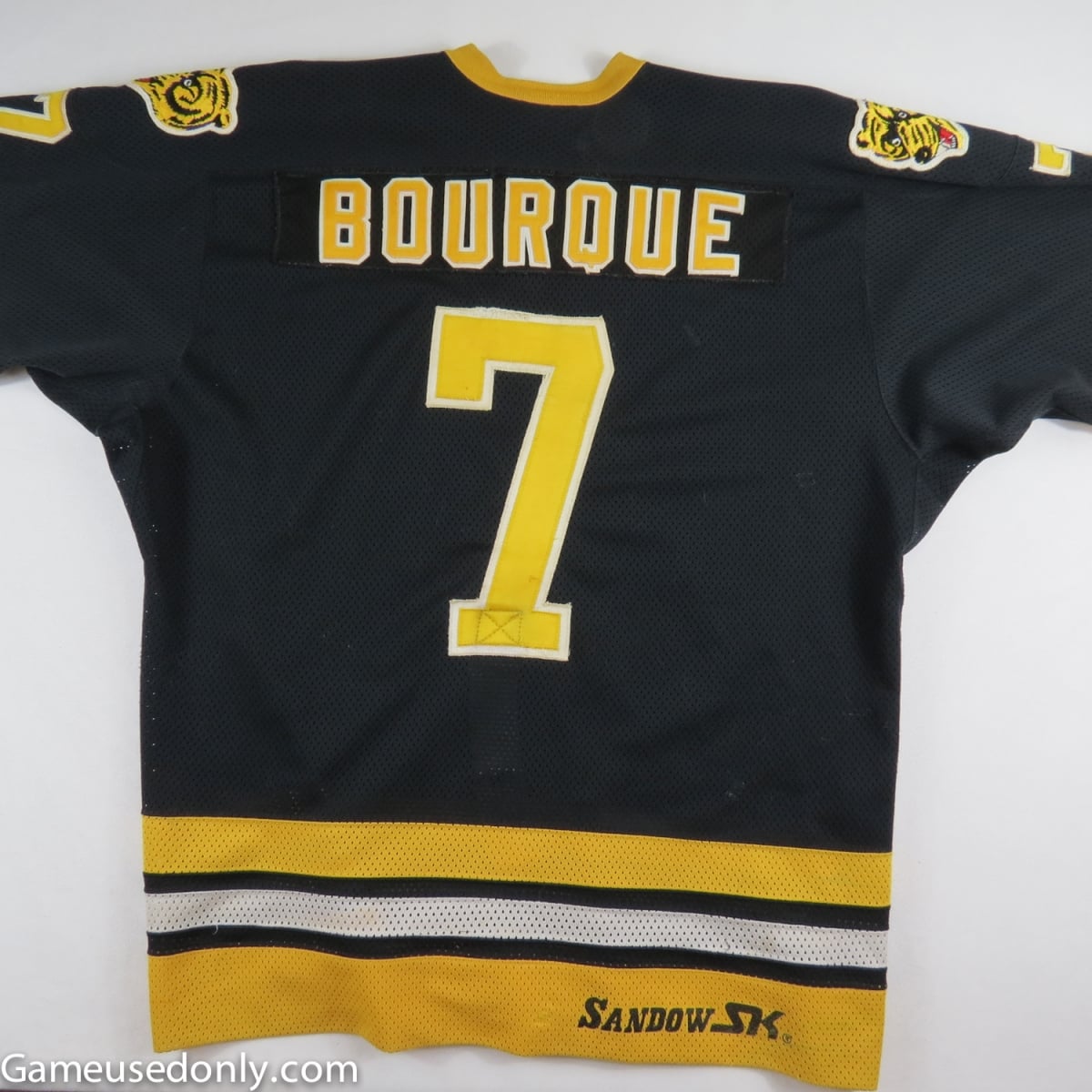 Ray Bourque Boston Bruins away jersey skating 77 8x10 11x14 16x20 photo 133 Size 8x10 
